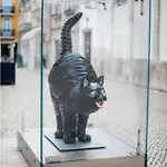 The Black Kitten Ii *