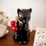 The Black Kitten Ii Caldas Da Rainha