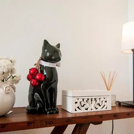 The Black Kitten Ii *