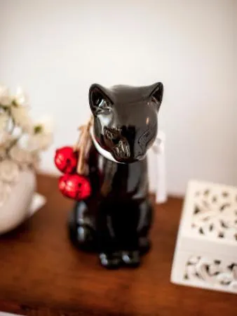 The Black Kitten Ii Caldas Da Rainha