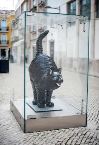 The Black Kitten Ii *