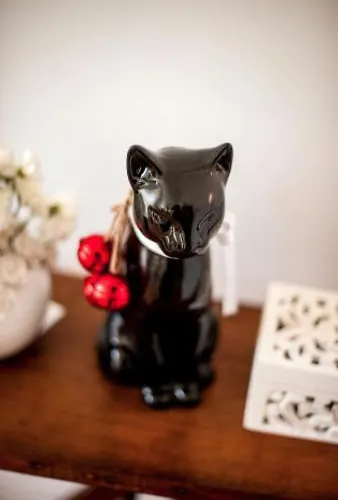 The Black Kitten Ii カルダス・ダ・ライーニャ