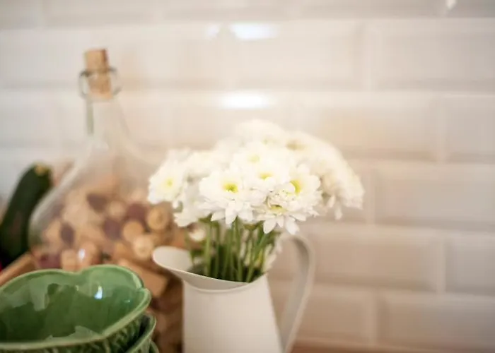 アパート The Black Kitten Ii カルダス・ダ・ライーニャ