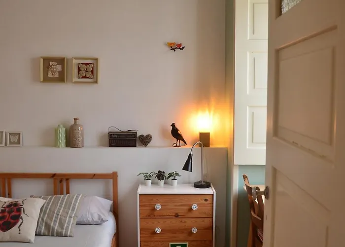 アパート The Black Kitten Ii *